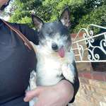 image for My super happy eyeless 12 year old boy Macaroni.