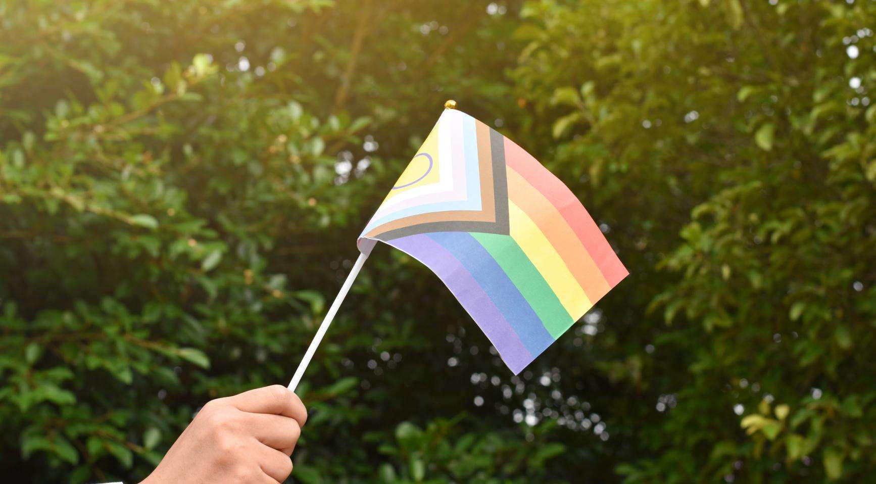 image for Dutch parliament votes to criminalize gay conversion therapy
