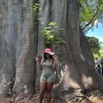 image for This tree I found in Hawaii ! (I’m 5’10 for scale! Lol)
