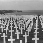 image for Antifa who gave their lives at Normandy fight Fascists