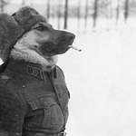 image for [oc] My antifa grandpa during the winter war of ww2