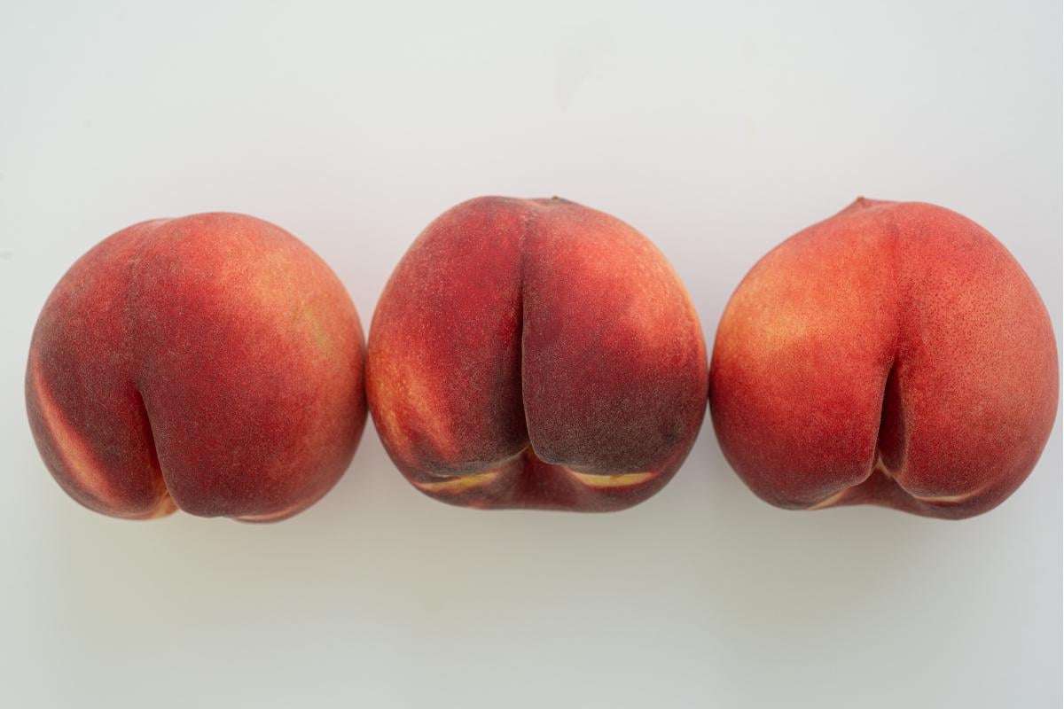 image for The First Buttholes Might Have Been for Sperm Instead of Poop