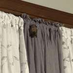 image for Bat in the House!