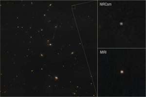 image for 