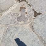 image for In honor of the Roman Art Pic