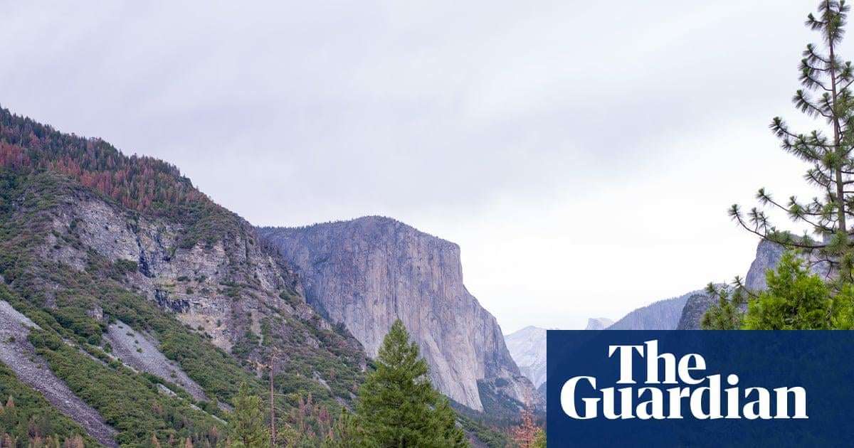 image for Emerging climbing star Balin Miller, 23, dies in fall from El Capitan