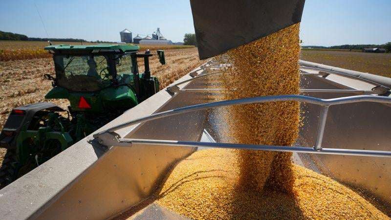 image for Trump considers massive bailout of at least $10 billion for American farmers hurt by his trade war