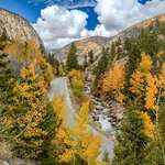 image for Visited Colorado the last week of September. The Aspen leaves were so beautiful!