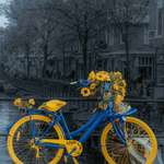 image for A bike in Amsterdam (oc)