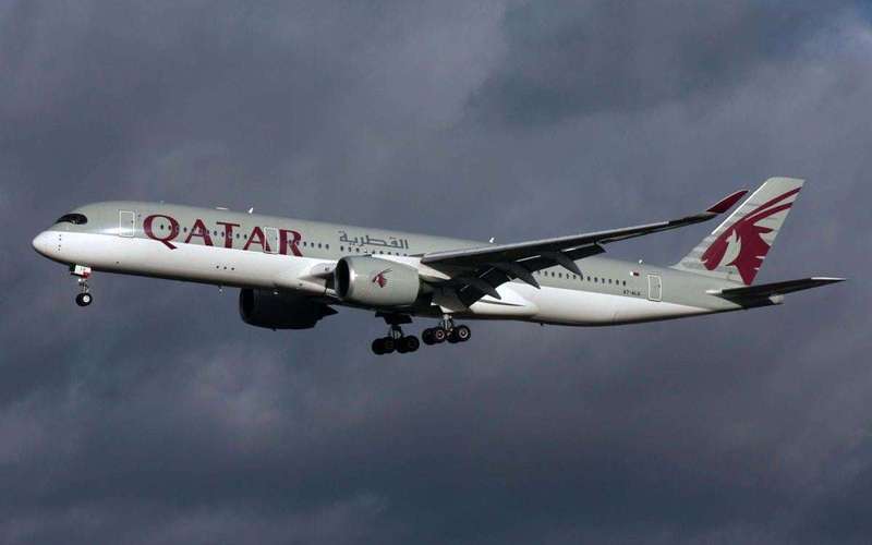 image for Qatar Airways accused of killing ‘strict vegetarian’ passenger with meat-based meal