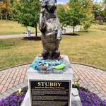 image for The original good boy: Sgt. Stubby, America’s first service dog and WWI hero.