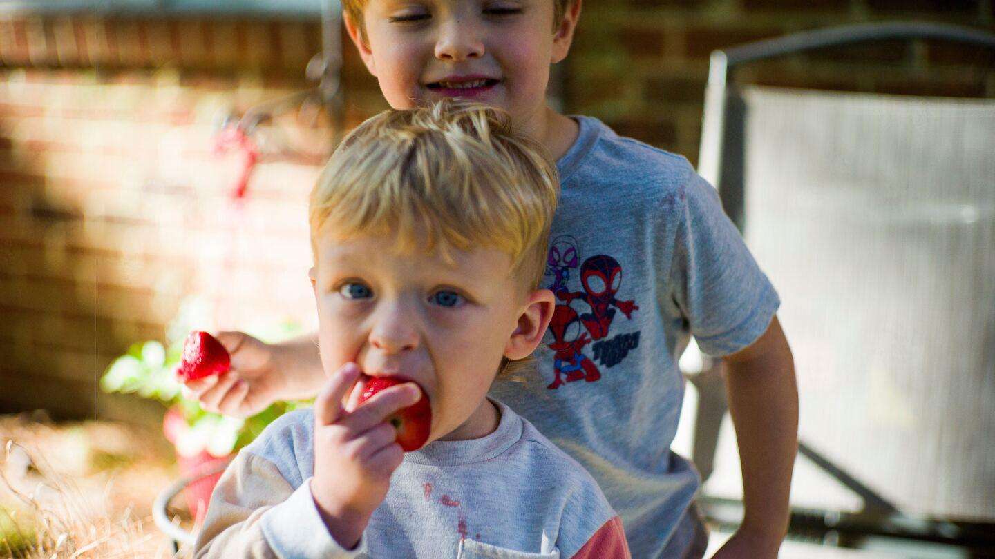 image for WIC food program receives $300M to keep running during government shutdown