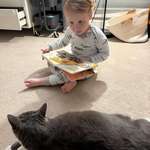 image for My son reading very intently to our cat.