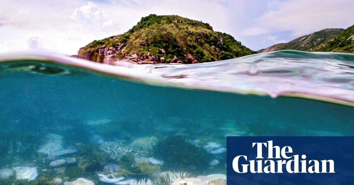 image for Planet’s first catastrophic climate tipping point reached, report says, with coral reefs facing ‘widespread dieback’