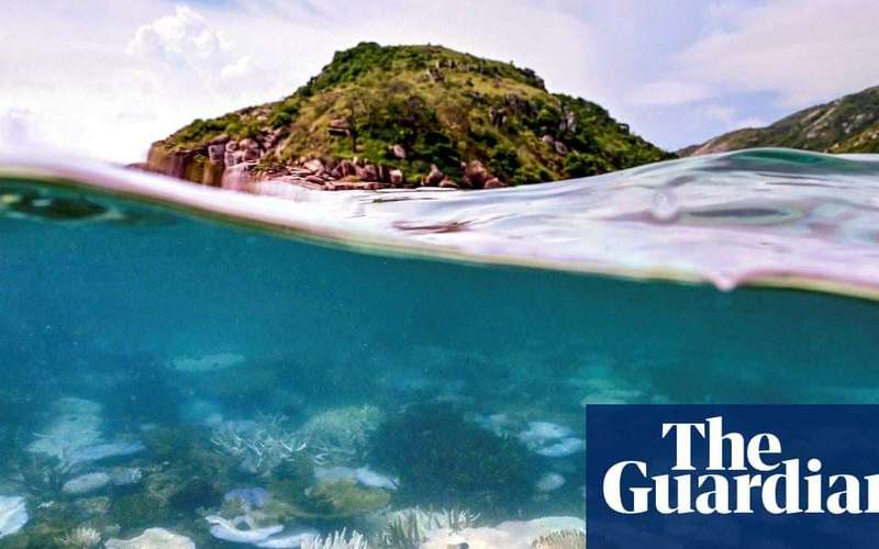 image for Planet’s first catastrophic climate tipping point reached, report says, with coral reefs facing ‘widespread dieback’