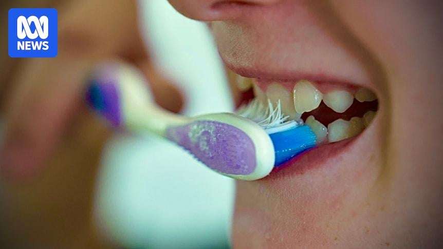 image for Major study finds tooth decay in Queensland children has declined since water fluoridation expanded