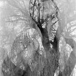 image for [OC] Weep for me willow - Double exposure self portrait on 35mm film.