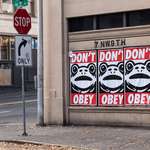 image for [OC] The portland frog is everywhere in Portland right now and I love it!