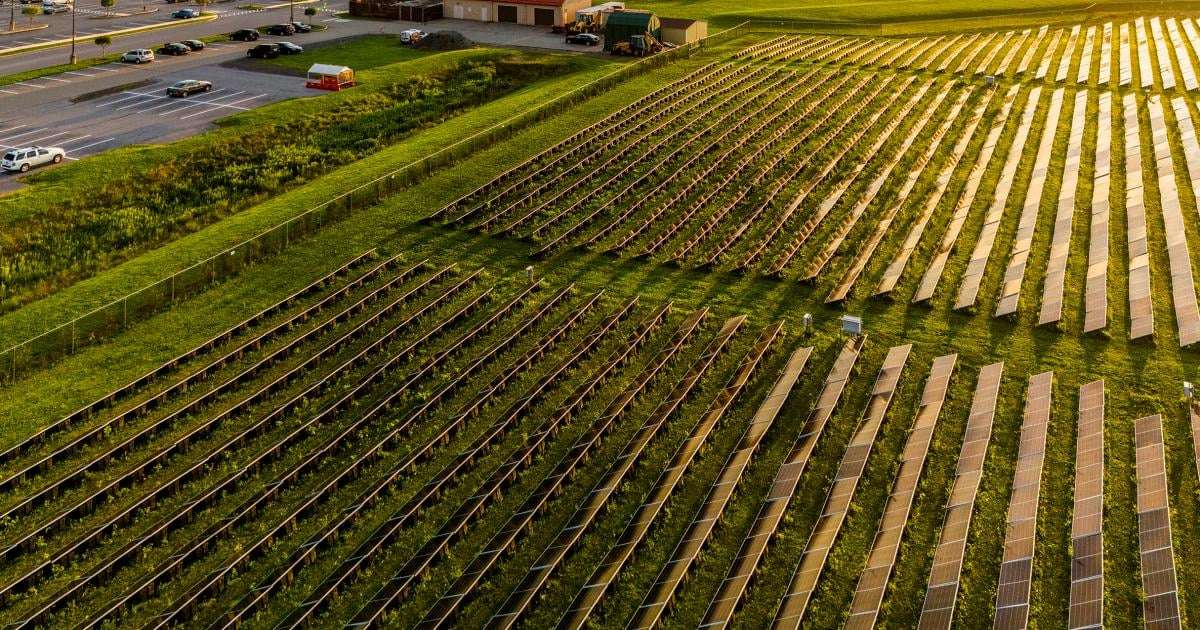image for More than 20 states sue EPA over canceled grants for solar power