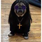 image for The Prince of Barkness