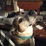 image for Rest easy, Jesse (2011-2025)
