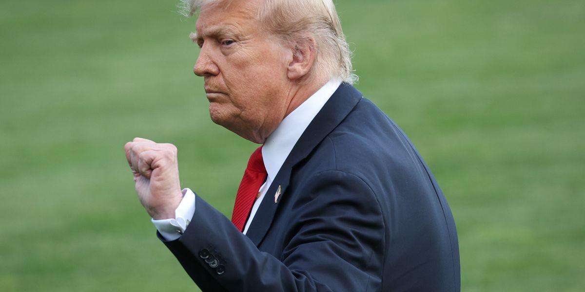 image for Officials Plot to Have Trump Declare National Emergency in 2026, Raising Fears He May 'Hijack' the Next Election
