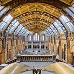 image for The Natural History Museum in London, UK [OC]
