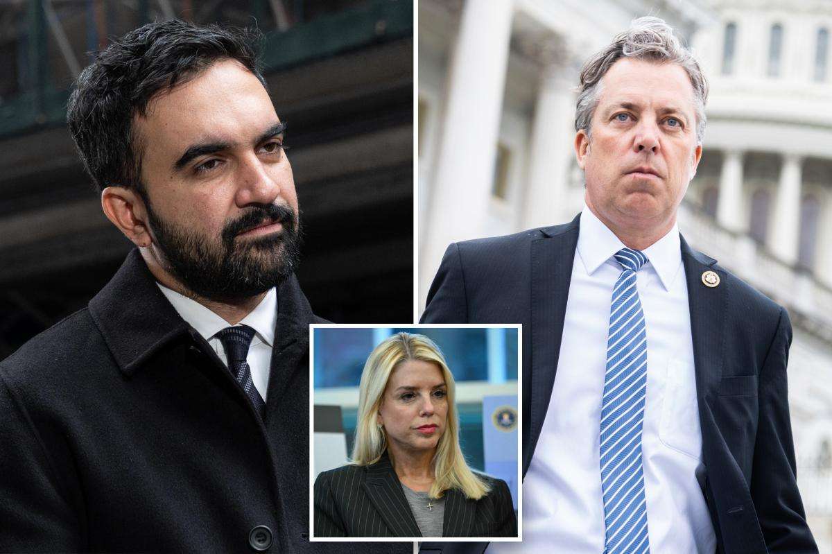 image for House Republicans want to strip Zohran Mamdani of citizenship, possibly deport NYC mayoral frontrunner over form omissions