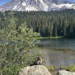 image for Mirror Lake at Mt Rainier, Washington
