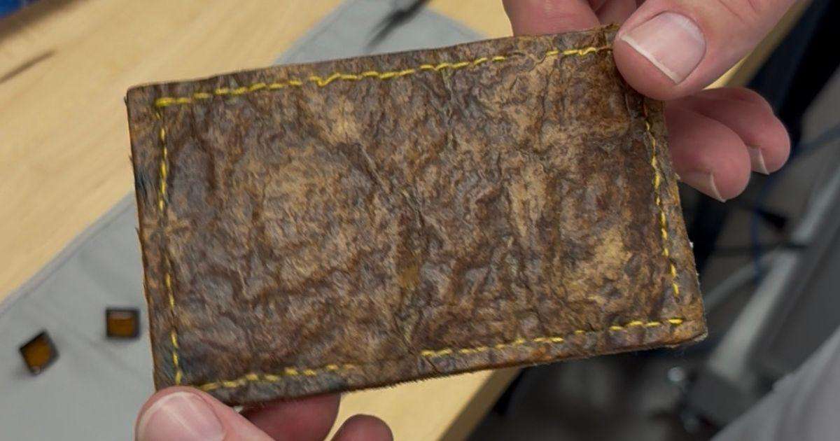 image for Lab-grown leather from a living cow could change the fashion industry