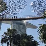 image for Fire on the 55th floor of Marina Bay Sands, Singapore