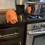 image for Dog was terrified of the pig toy I bought her, so now it guards the stove