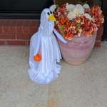 image for A poultry-geist