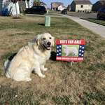 image for The goodest candidate