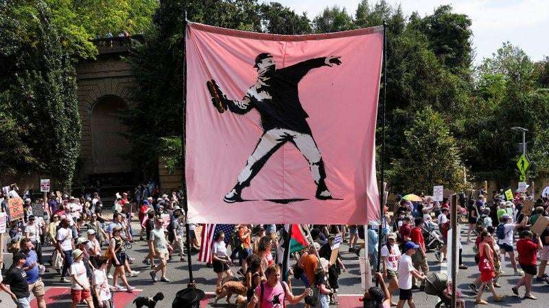 image for Sean Dunn: DC sandwich thrower found not guilty of assault