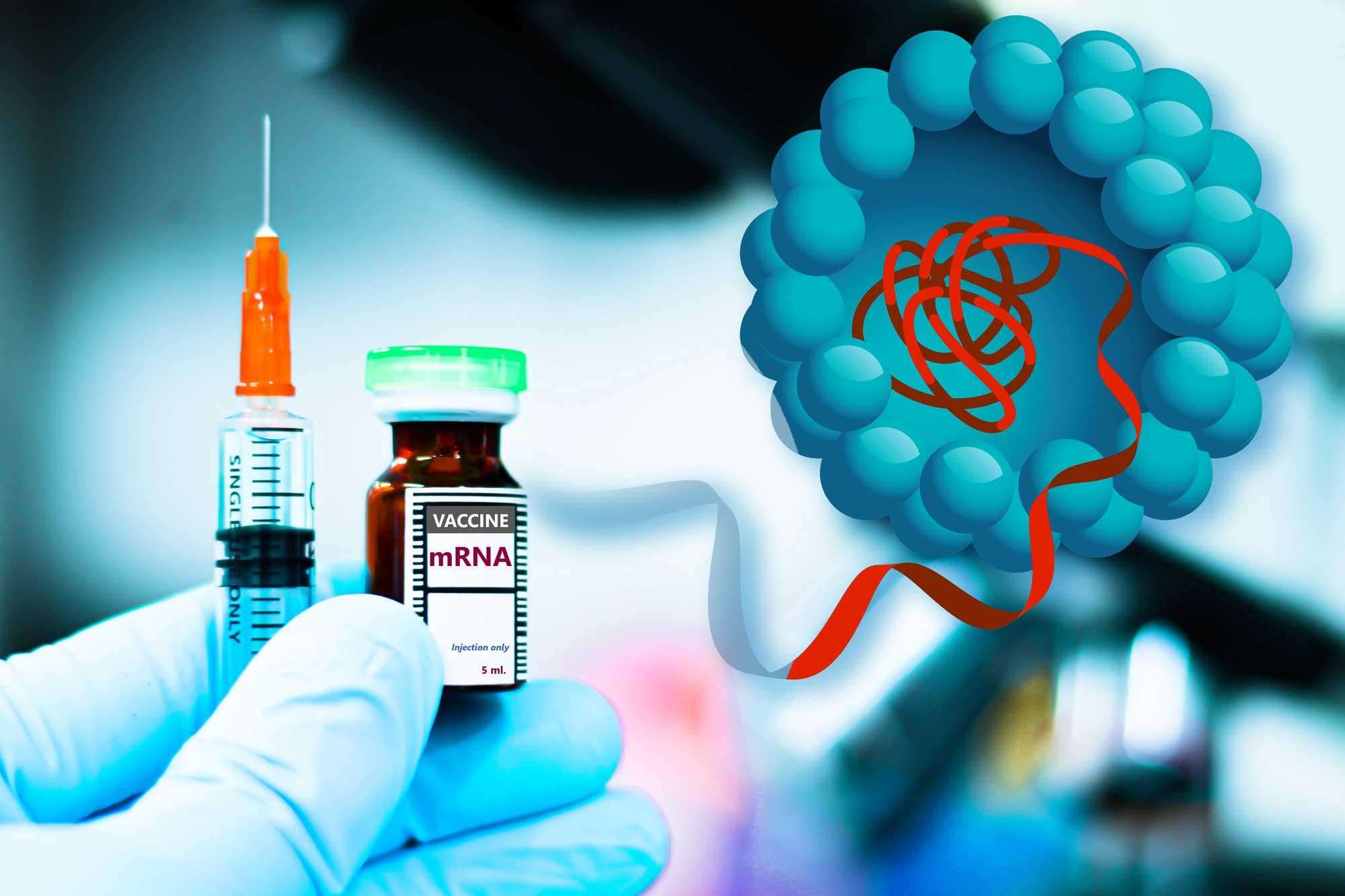 image for Particles that enhance mRNA delivery could reduce vaccine dosage and costs