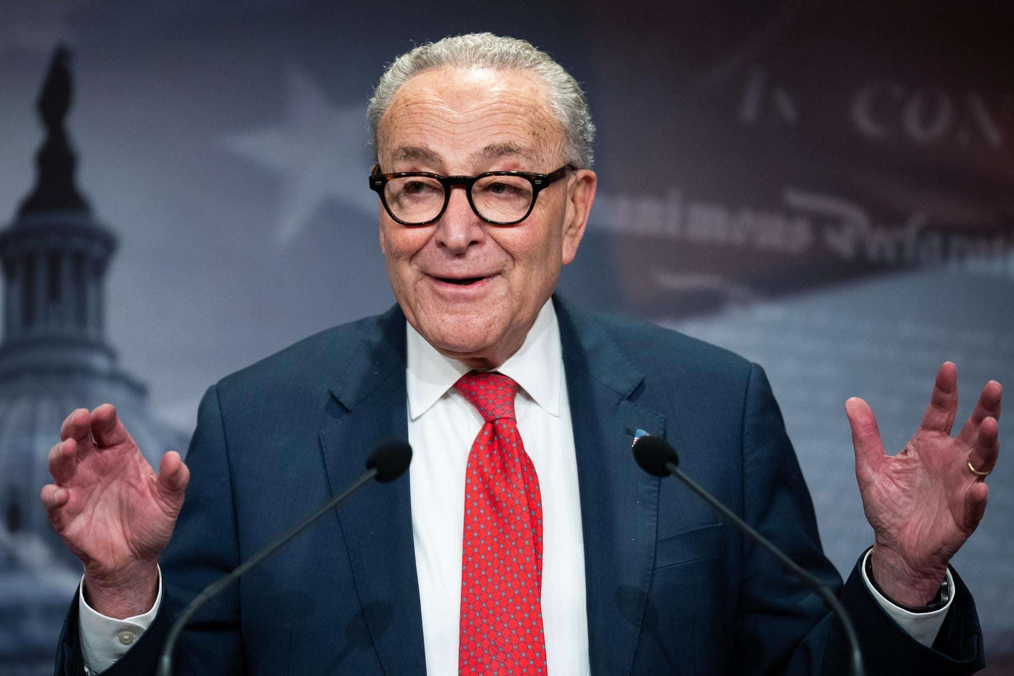 image for Chuck Schumer Is Not Fit to Lead the Democratic Party