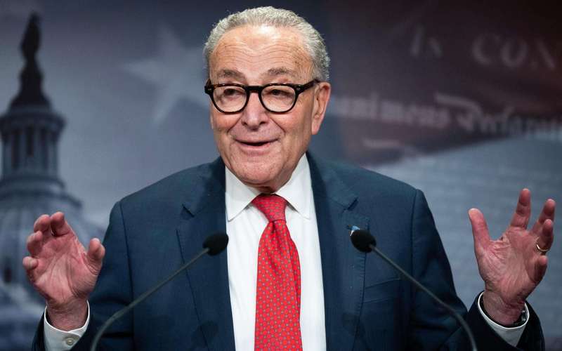 image for Chuck Schumer Is Not Fit to Lead the Democratic Party