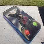 image for I drew my dog at a chalk art festival