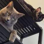 image for I looked up and found both supervisors watching me!!