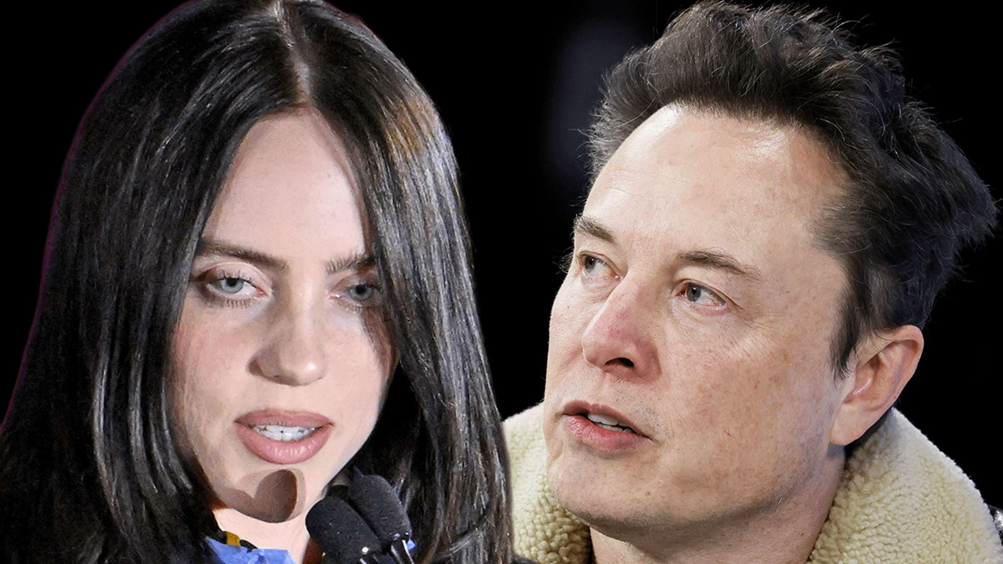 image for Billie Eilish Calls Elon Musk a 'Pathetic P***y' in NSFW Tirade