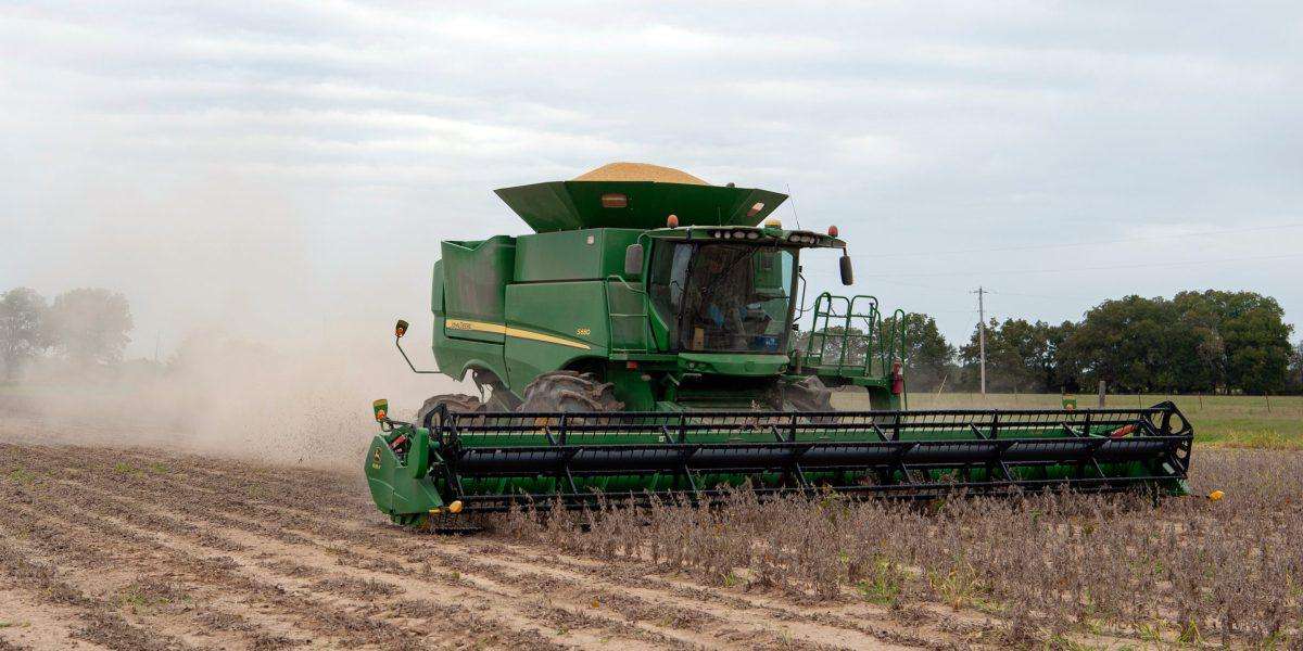 image for There's 'no evidence' China is buying all the U.S. soybeans it promised under Trump's trade deal