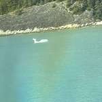 image for On our Alaska cruise I saw this iceberg perfectly shaped like a whale