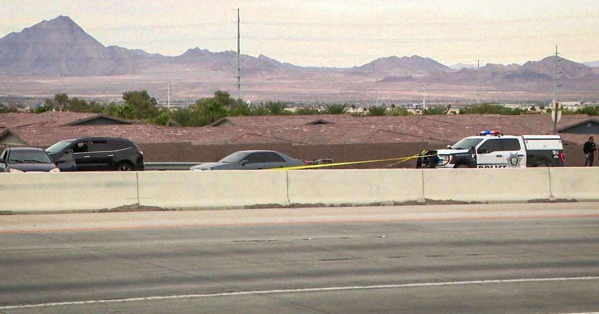 image for 11-year-old killed on his way to school in road-rage shooting near Las Vegas