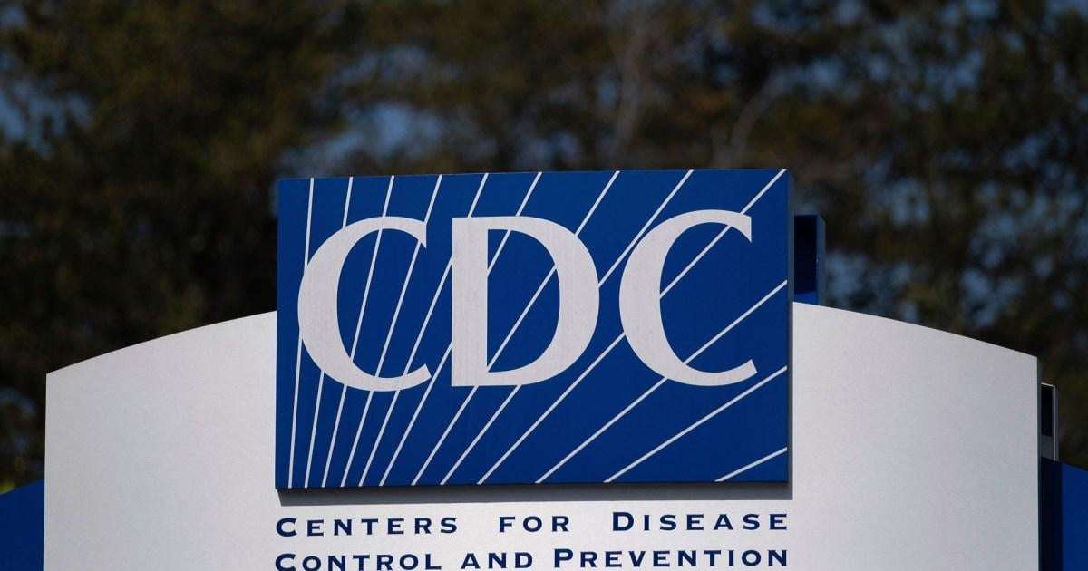image for “Embarrassing” and “Horrifying”: CDC Workers Describe the New Vaccines and Autism Page