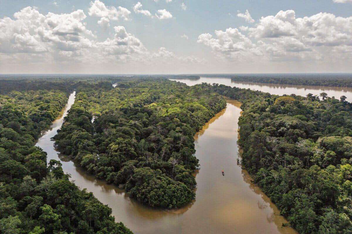 image for Colombia bans all new oil and mining projects in its Amazon