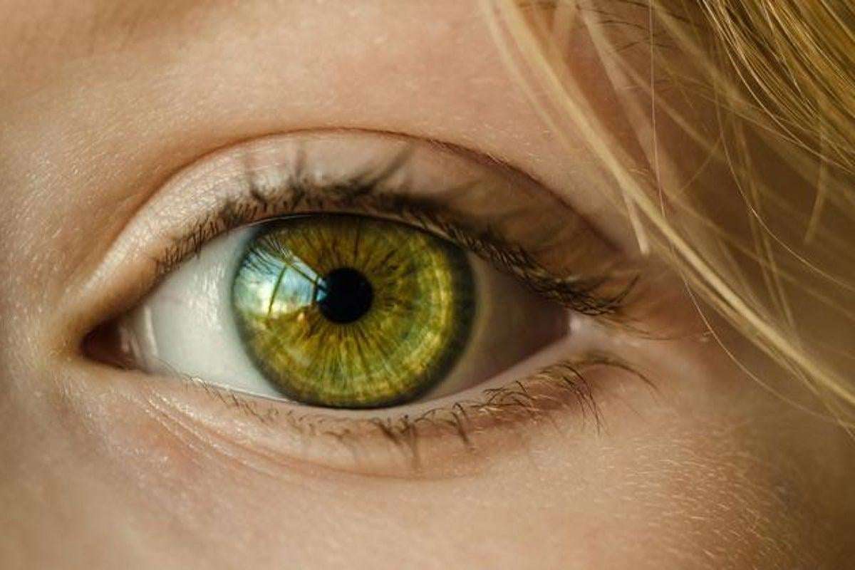 image for Groundbreaking study finds way to ‘reboot’ eye and restore impaired vision