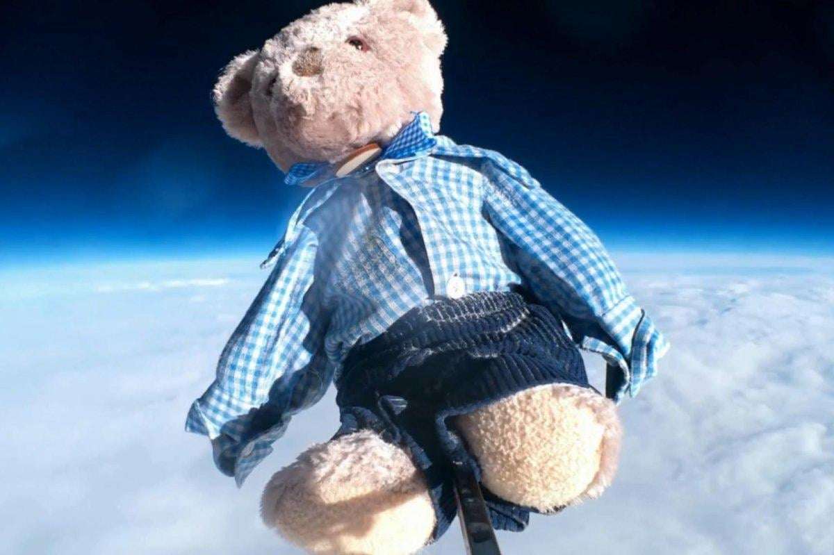 image for Watch: School seeks help finding teddy bear that fell from the stratosphere