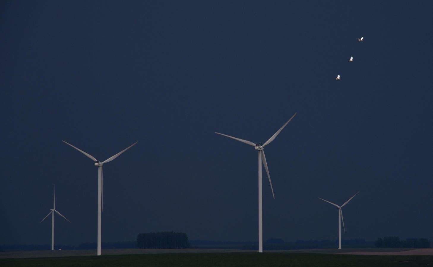 image for Uruguay’s Renewable Charge: A Small Nation, A Big Lesson For The World