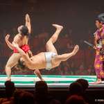 image for [OC] I took a pic during a sumo match